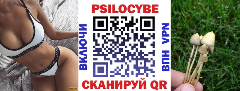 Галлюциногенные грибы Cubensis  Волгореченск 